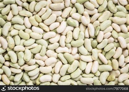 background and texture of flageolet beans (a variety of the common bean originating from France, the flageolet is picked before full maturity and dried in the shade to retain its green color).