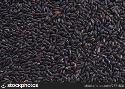 background and texture of forbidden rice grain