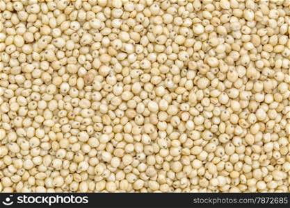 background and texture of gluten free sorghum grain