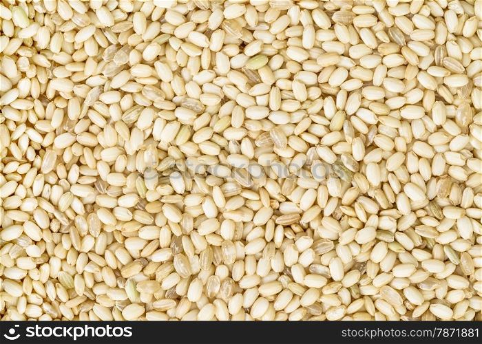 background and texture of sweet brown rice used for sticky sweets, snacks, desserts and Japanese sushi,&#xA;also known as waxy rice, glutinous rice and mochi.