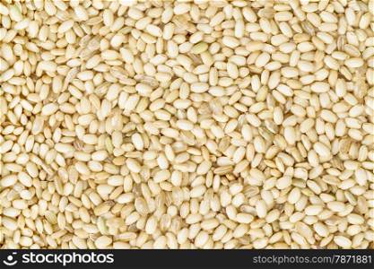 background and texture of sweet brown rice used for sticky sweets, snacks, desserts and Japanese sushi,&#xA;also known as waxy rice, glutinous rice and mochi.