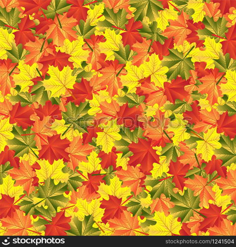 background autumn maple leaves