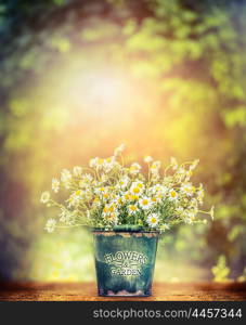 background, beautiful, beauty, bouquet, bright, bucket, bunch, closeup, color, colorful, country, daisy, day, decoration, decorative, design, flora, floral, flower, fresh, fun, garden, gardening, grass, green, holiday, love, meadow, metal, natural, nature, nobody, old, outdoor, over, plant, retro, rustic, season, spring, summer, table, vase, vintage, white, wild, wooden, yellow