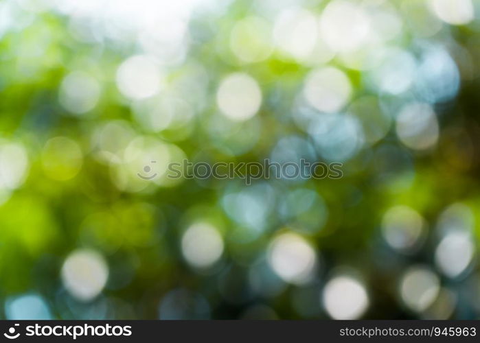 Background blur bokeh nature. Bokeh green and white.