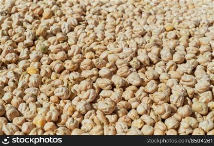 Background chickpeas seed or garbanzo beans, nutritious vegetable protein, close up and selective focus. Idea for banner or product advertisement, wallpaper for article describing vegan recipe or diet