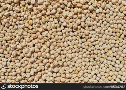 Background chickpeas seed or garbanzo beans, nutritious vegetable protein, top view with. Idea or texture for banner or product advertisement, wallpaper for an article describing vegan recipe or diet