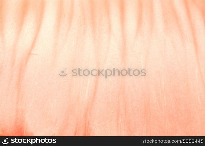 Background color of flesh grapefruit.