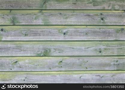 background consisting of part of weathered grey greenish boards