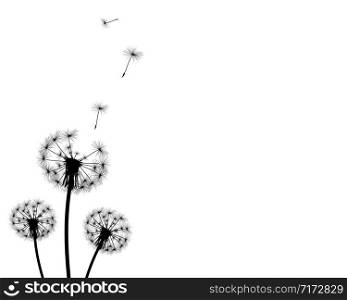 background dandelion faded silhouettes on a white background. background dandelion faded silhouettes
