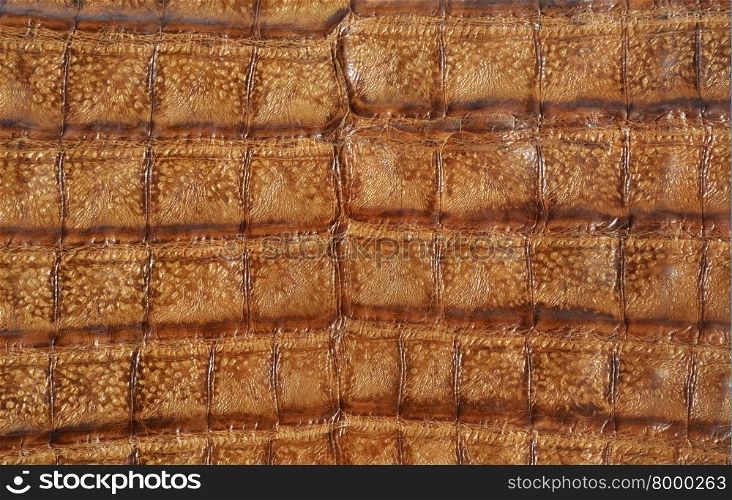 Background from brown alligator leather