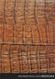 Background from brown alligator leather