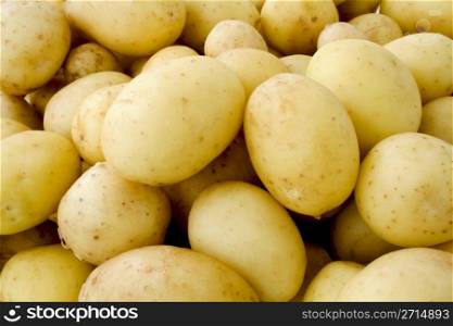 Background from fresh young potatoes