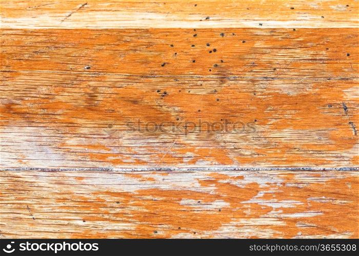 background from old bog oak board close up