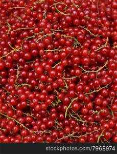 Background from red currants