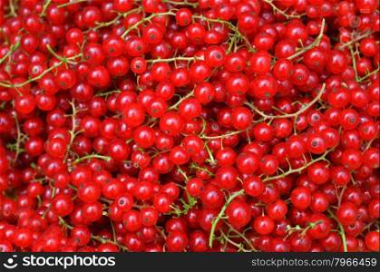 Background from redcurrants