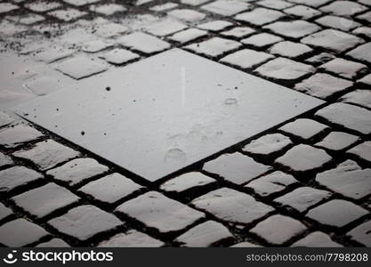 Background from the wet pavement with grass