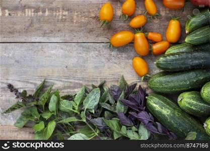 background from vegetables. cucumbers, tomatoes and basil on a wooden background 