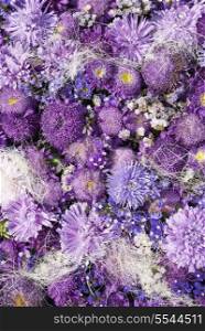 Background from violet asters