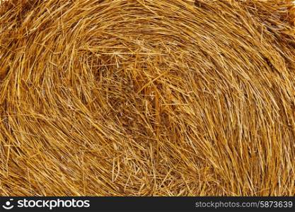 Background from wheat straw in roll&#xA;