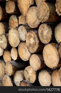Background image, close up image of wood pile