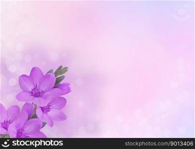 background image flower blossoms