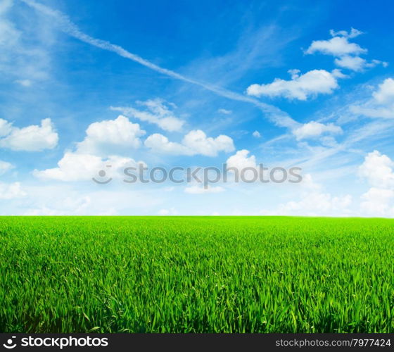 Background image of lush grass field under blue sky