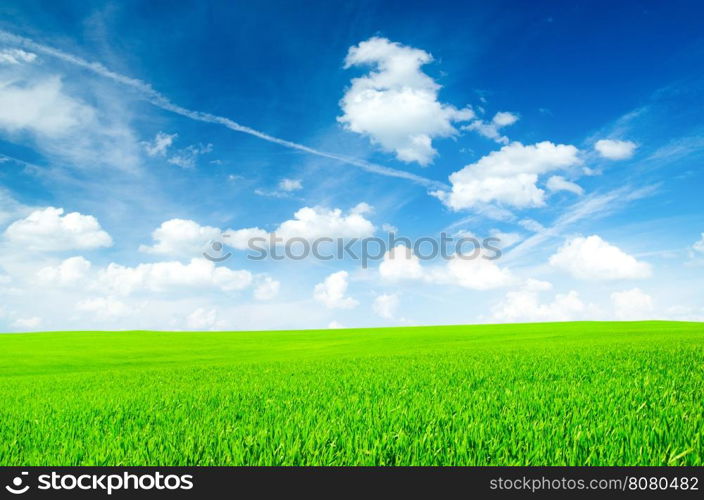 Background image of lush grass field under blue sky