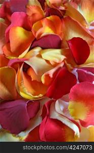 Background image of rose petals for spa, aromatherapy, or pampering.