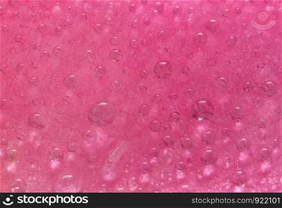 Background macro water droplets on the petals of pink roses