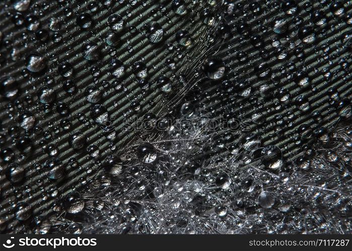 Background macro water drops on feathers