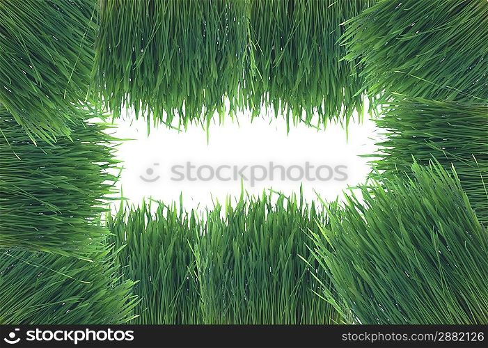 background maked from grass with copy space