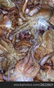 background octopus texture catch on the mediterranean sea market