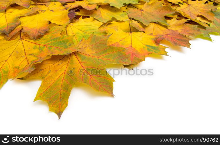 background of autumn leaves