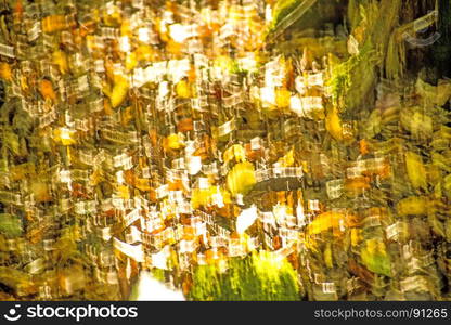 Background of autumnal colors of blurred leaves