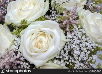 Background of beautiful white roses