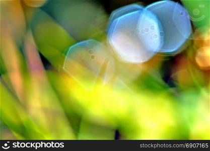 Background of blurred colors of a meadow
