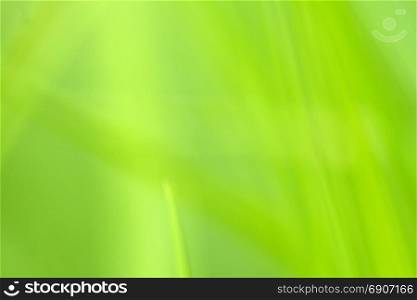 Background of blurred colors of a meadow