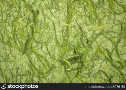 background of chunky kozo artichoke green mulberry paper