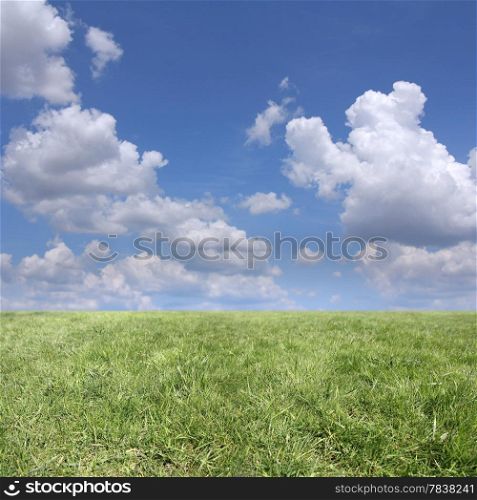Background of cloudy sky and green grass