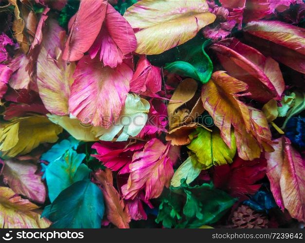 background of colorful dry flower leaves