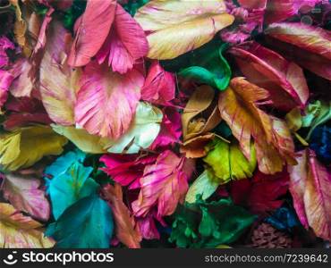 background of colorful dry flower leaves