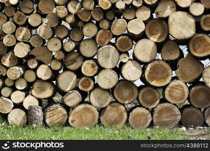 Background Of Cut Wood Logs Stacked In A Pile