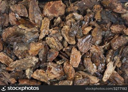 background of damp western bark nuggets used for gardening and landscaping