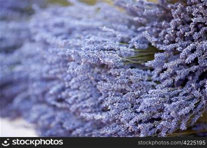 background of dried lavender flowers at the fair