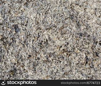 Background of dried wakame seaweed