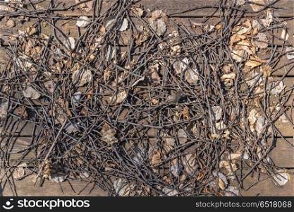 Background of dry branches and leaves. Background of dry branches . Background of dry branches