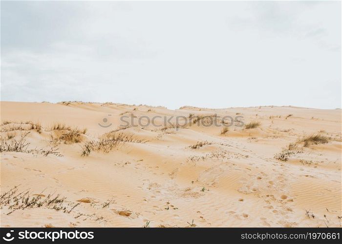 Background of dunes of sand with a clear sky with copy space during a sunny day