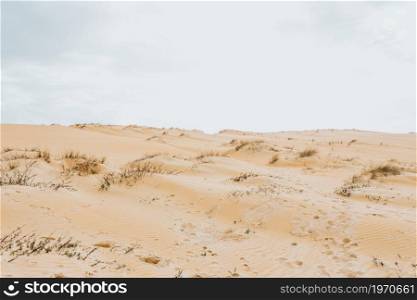 Background of dunes of sand with a clear sky with copy space during a sunny day