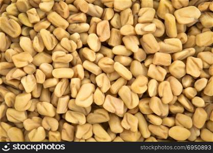 background of fenugreek organic sprouting seeds