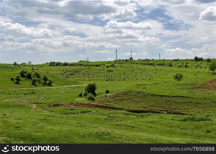 Background of field with grass, bush and trees , Zavet, Bulgaria